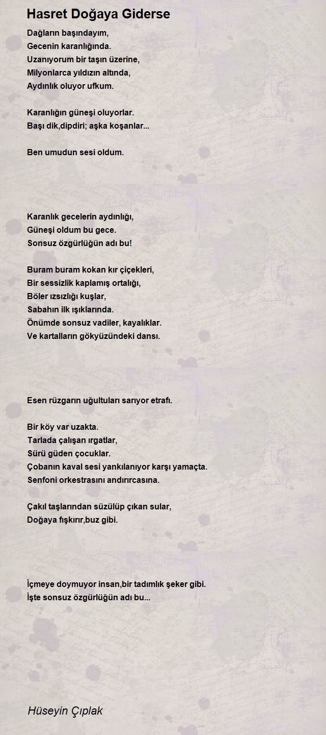Hüseyin Çıplak