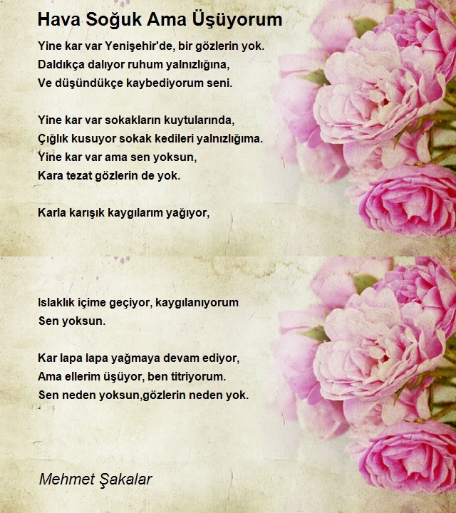 Mehmet Şakalar