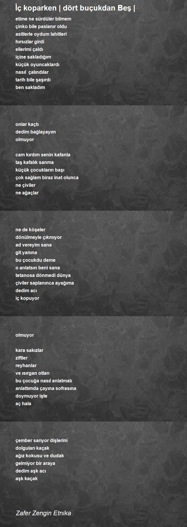 Zafer Zengin Etnika