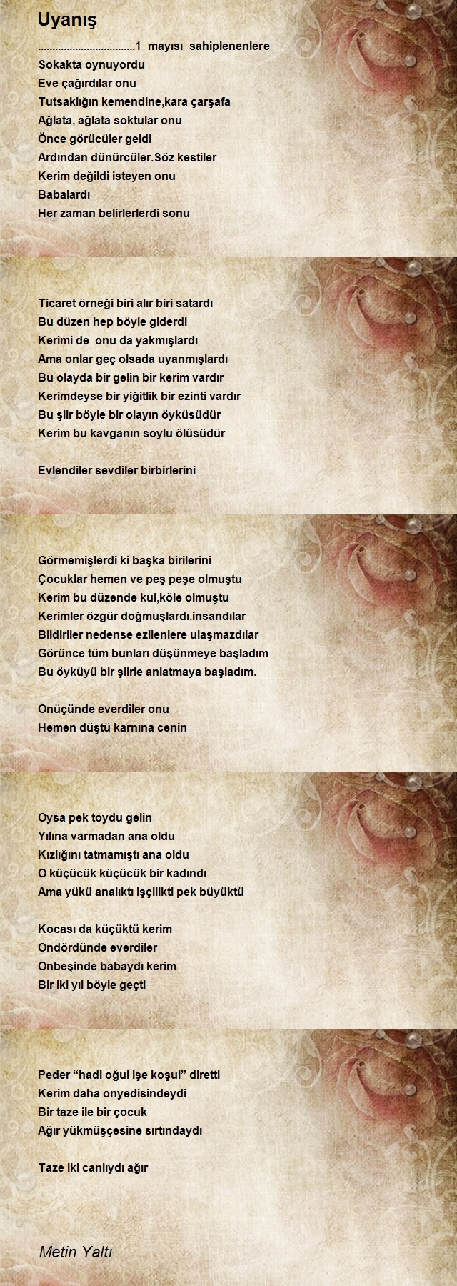 Metin Yaltı