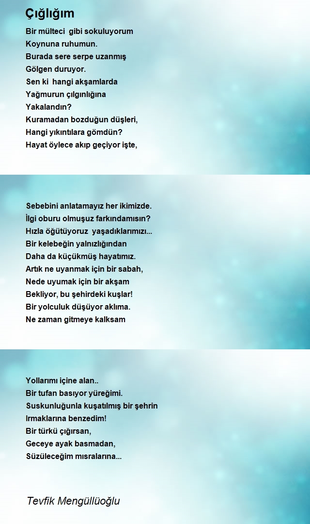 Tevfik Mengüllüoğlu