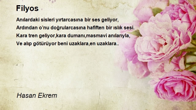 Hasan Ekrem
