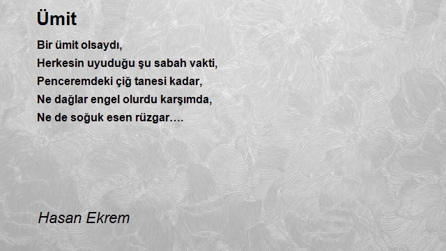 Hasan Ekrem