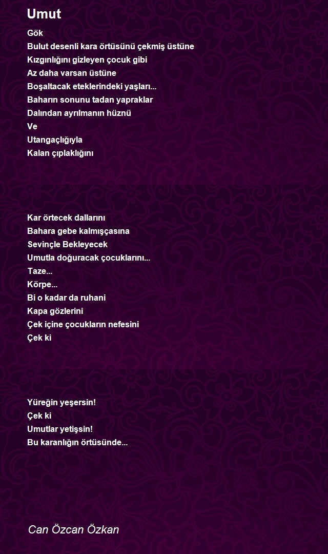 Can Özcan Özkan