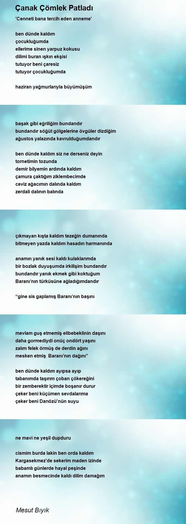 Mesut Bıyık