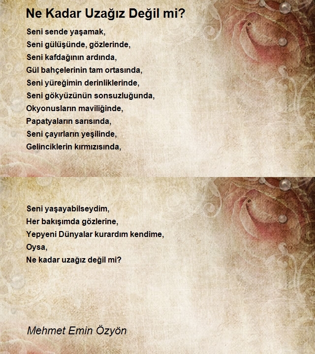 Mehmet Emin Özyön