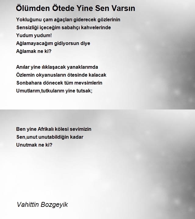 Vahittin Bozgeyik