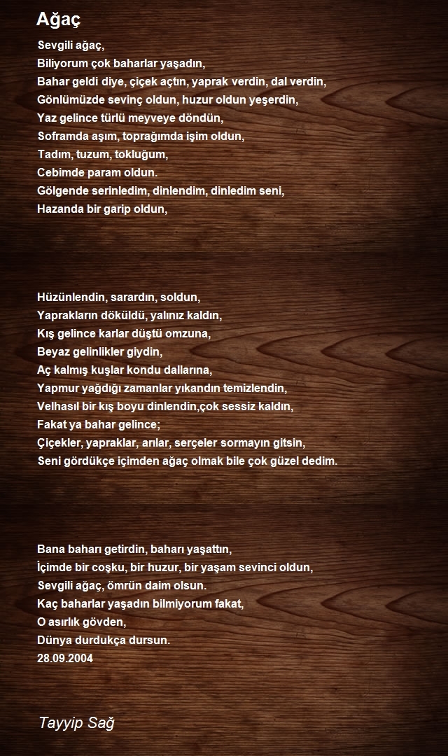 Tayyip Sağ