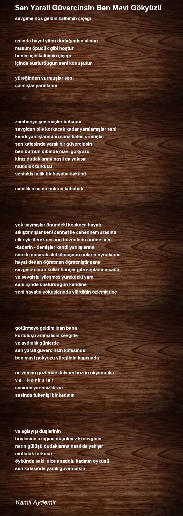 Kamil Aydemir