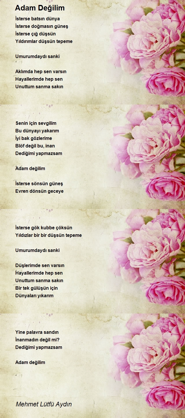 Mehmet Lütfü Aydın