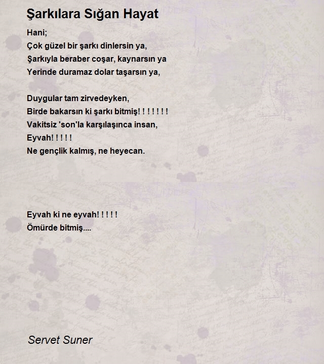 Servet Suner