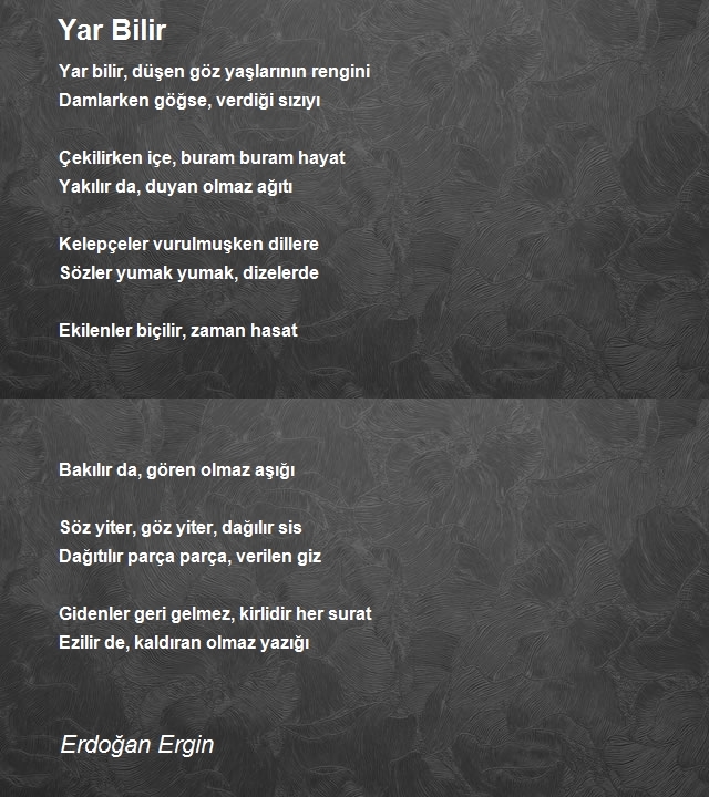 Erdoğan Ergin