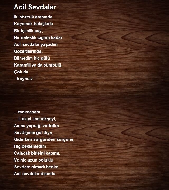 Ali Aldemir
