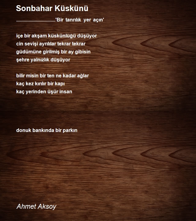Ahmet Aksoy