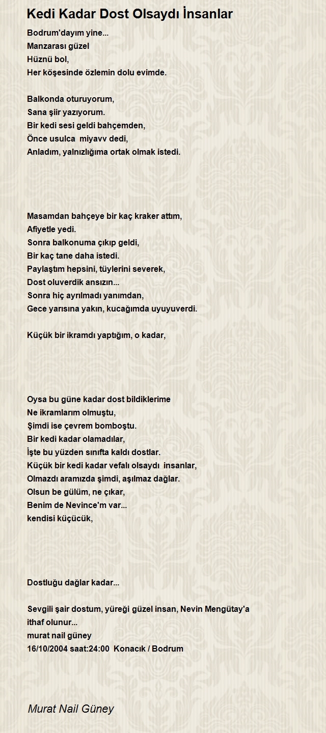 Murat Nail Güney