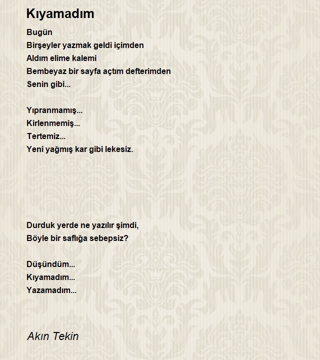 Akın Tekin