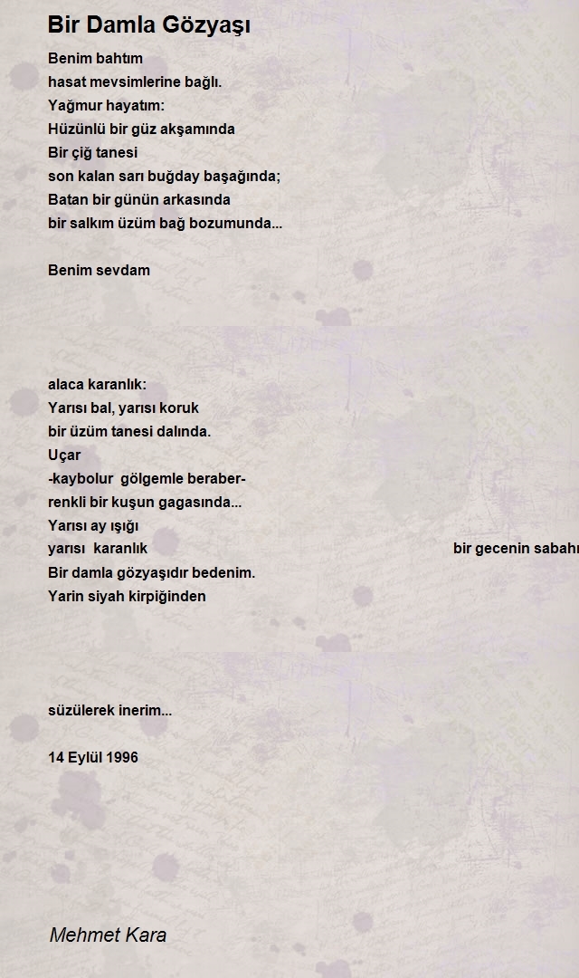 Mehmet Kara
