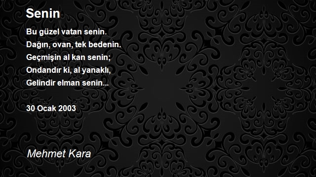 Mehmet Kara