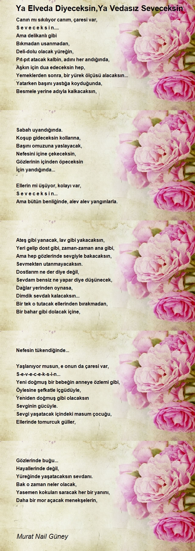 Murat Nail Güney