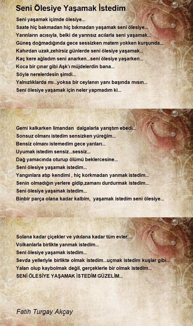 Fatih Turgay Akçay