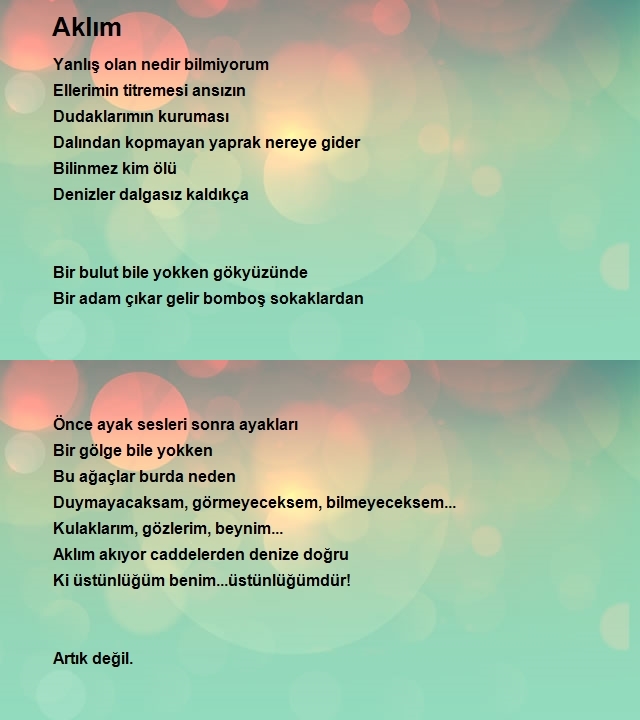 Ahmet Varol