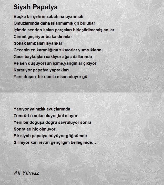 Ali Yılmaz