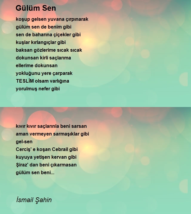 İsmail Şahin