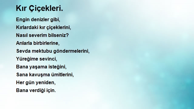 Ali Osman Yılmaz