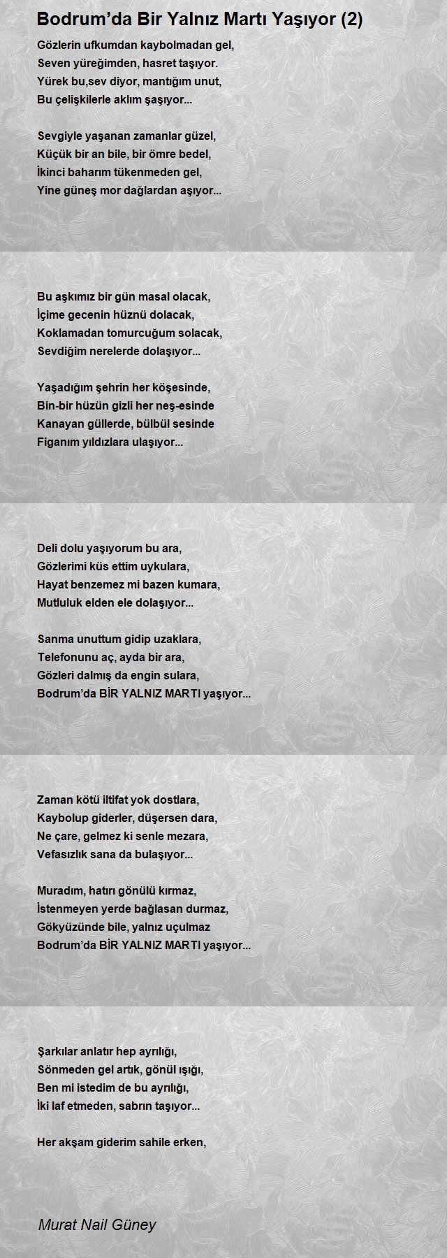 Murat Nail Güney