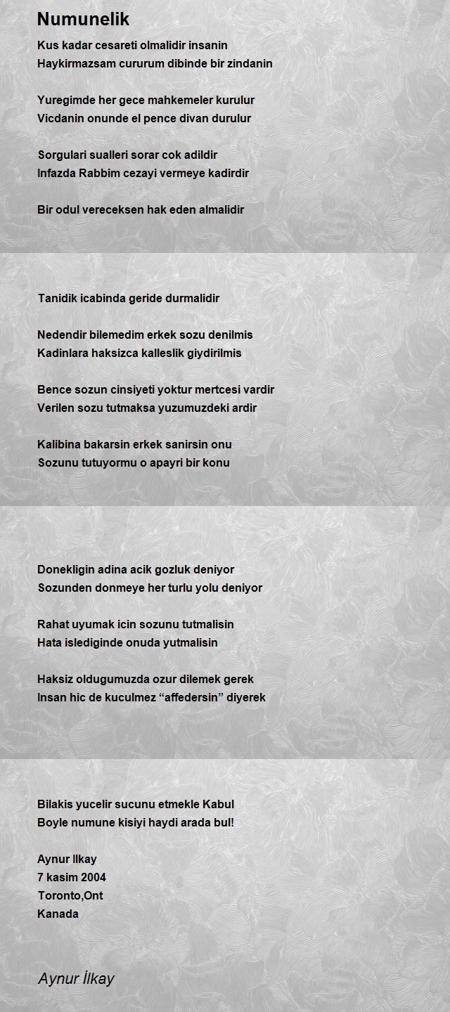 Aynur İlkay