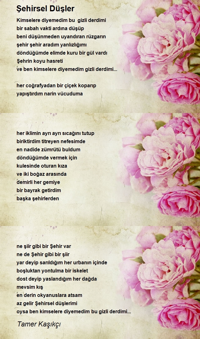Tamer Kaşıkçı