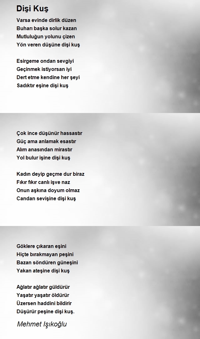 Mehmet Işıkoğlu