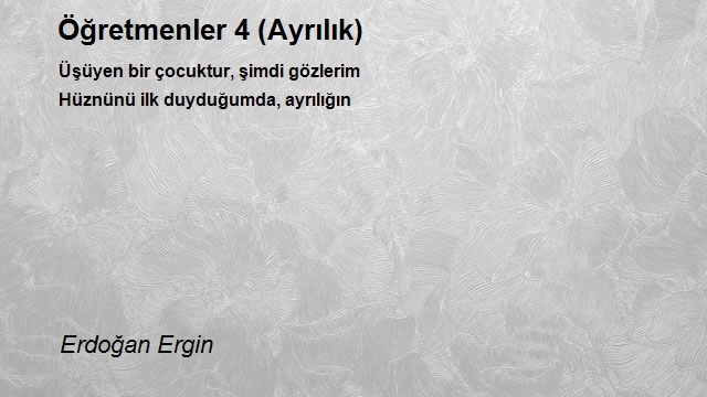 Erdoğan Ergin