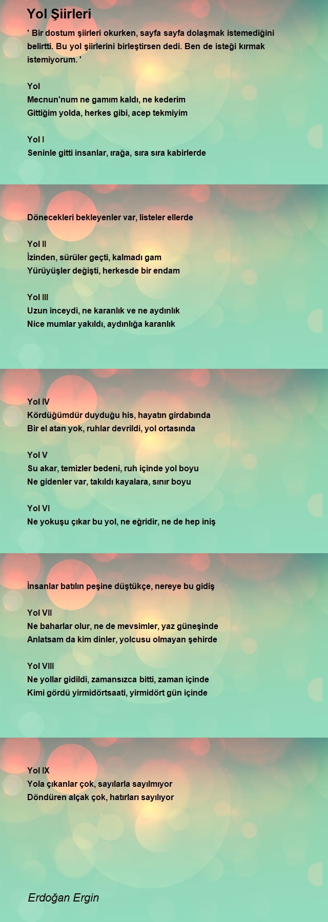 Erdoğan Ergin