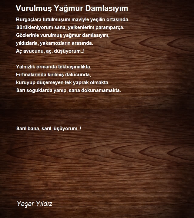Yaşar Yıldız