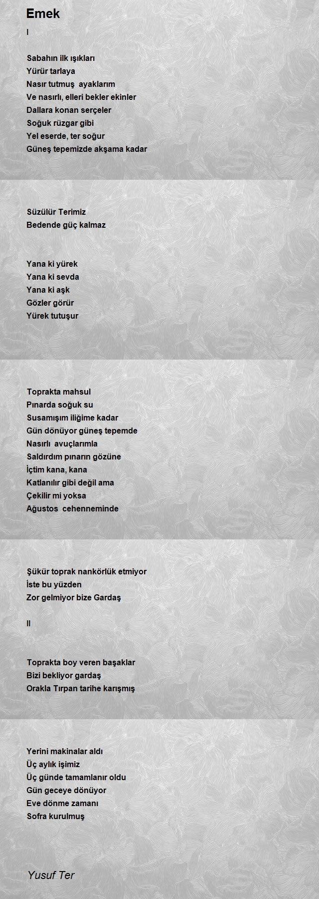 Yusuf Ter