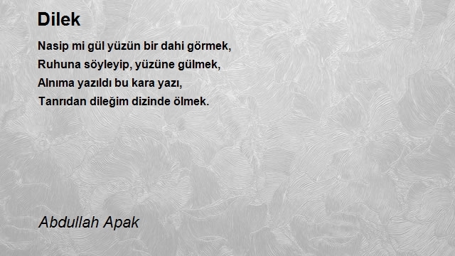 Abdullah Apak