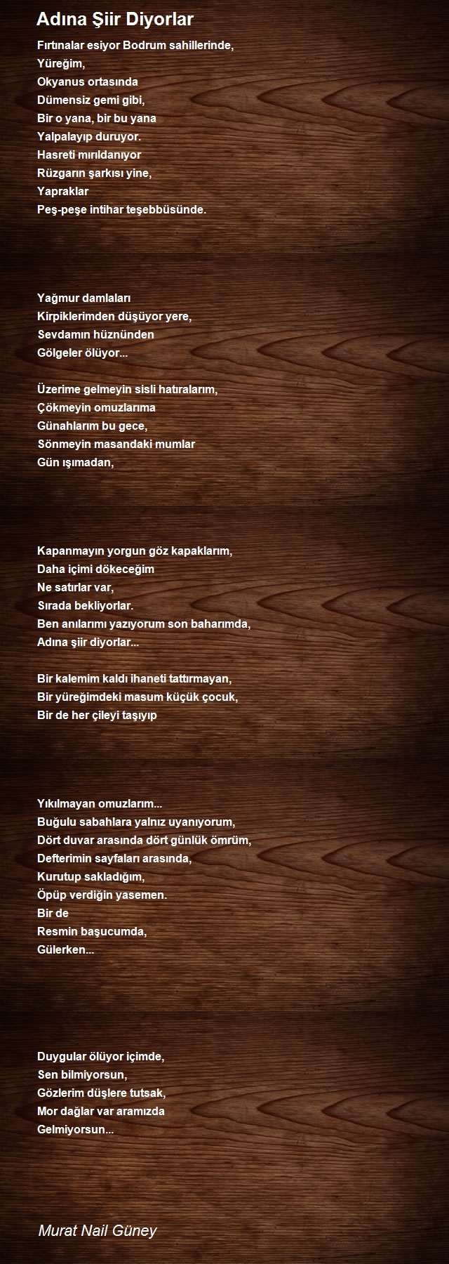 Murat Nail Güney