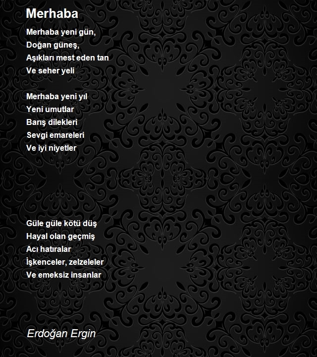 Erdoğan Ergin