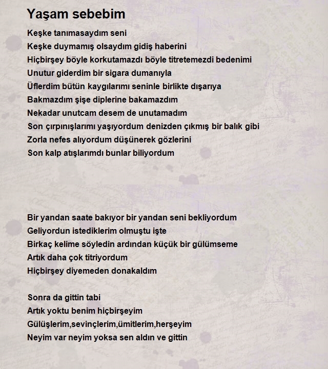 Fatih Dayi