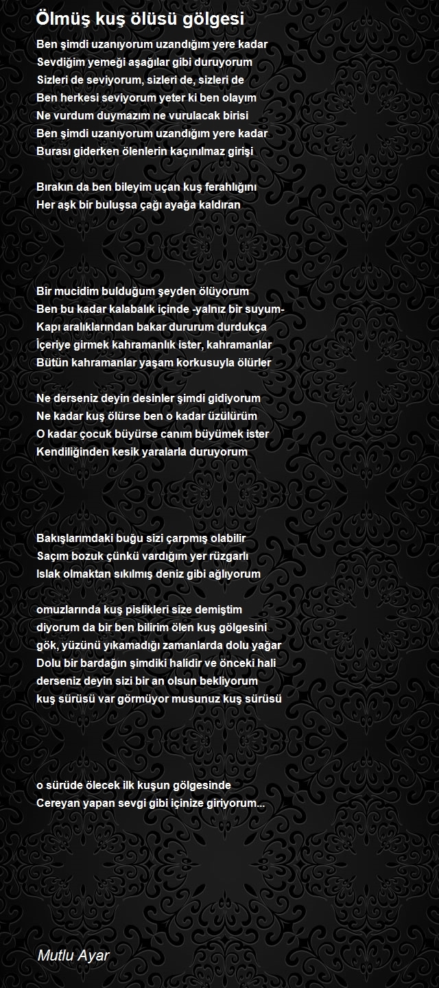 Mutlu Ayar