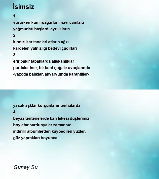 Güney Su