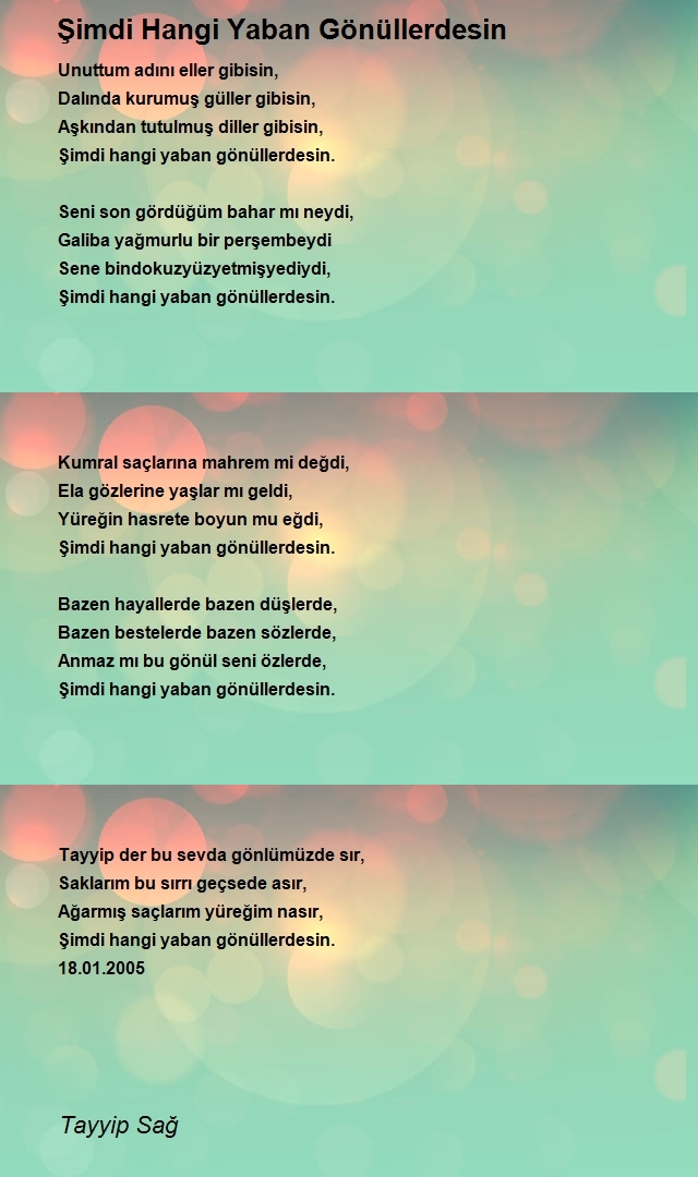 Tayyip Sağ