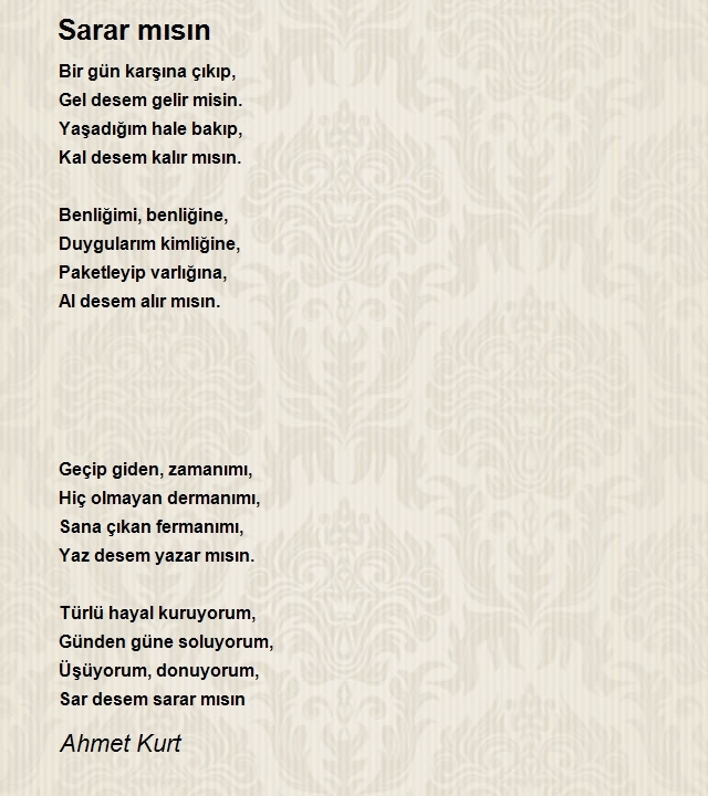 Ahmet Kurt