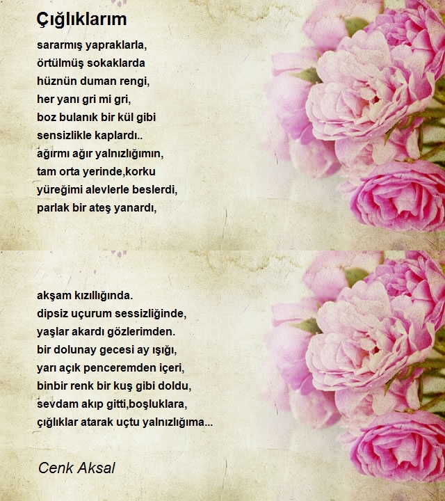 Cenk Aksal