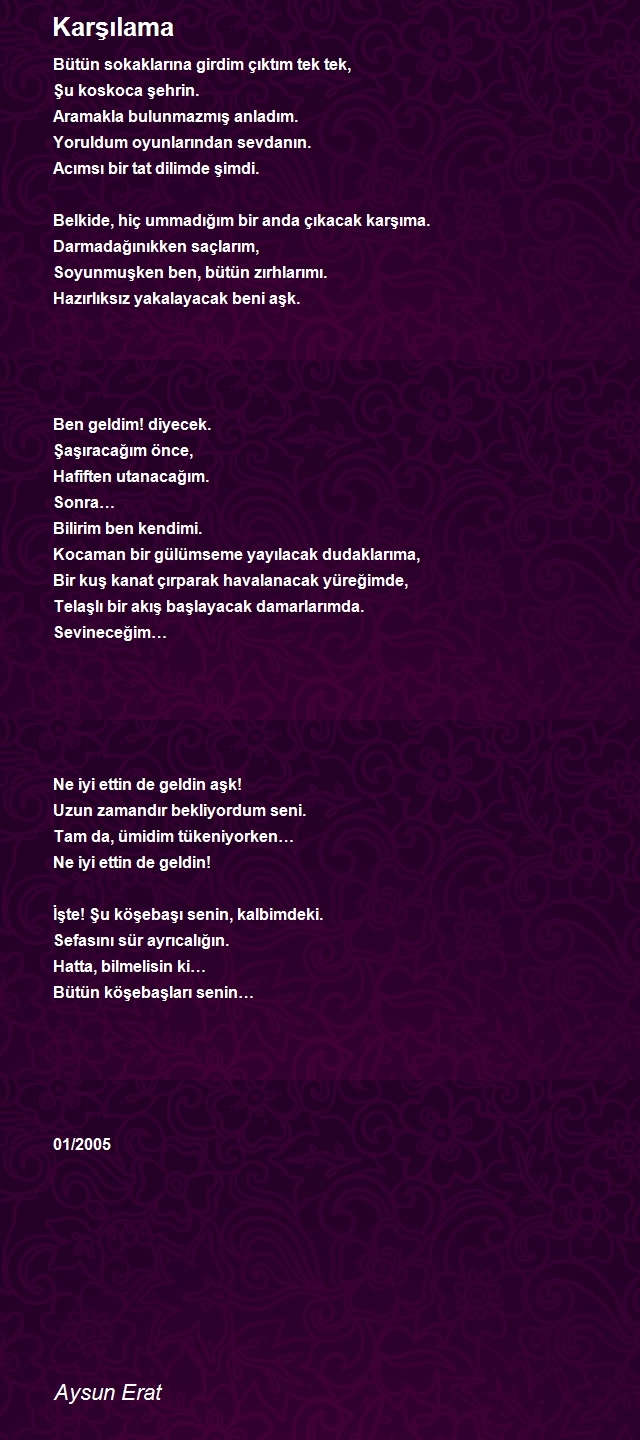 Aysun Erat