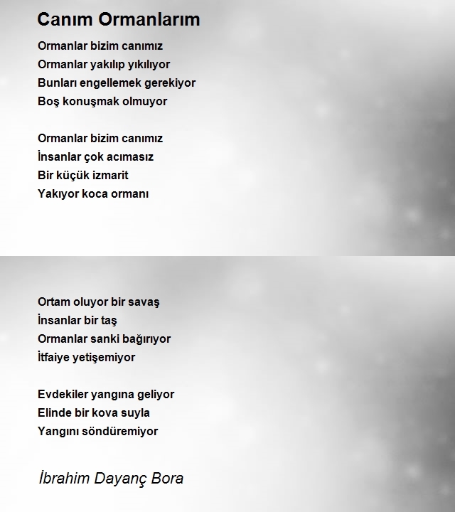 İbrahim Dayanç Bora