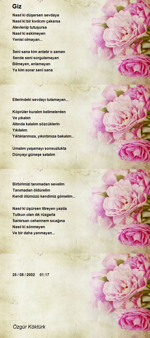 Özgür Köktürk