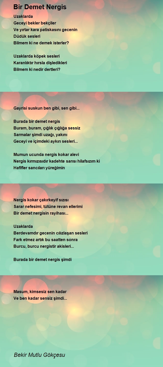 Bekir Mutlu Gökçesu