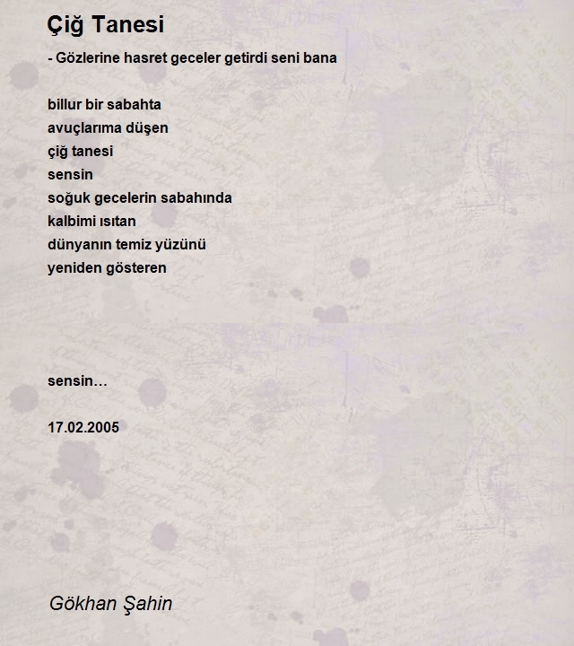 Gökhan Şahin